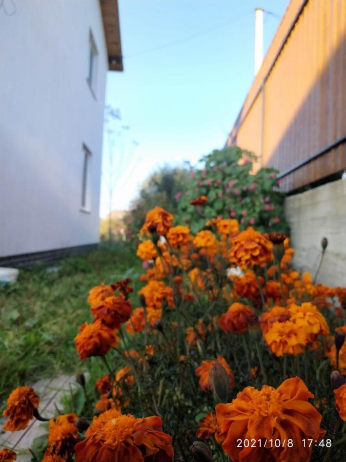 Nestg Guest House Pilipets Zewnętrze zdjęcie