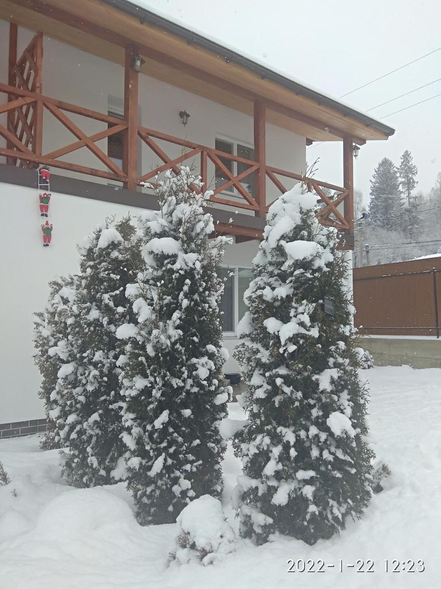 Nestg Guest House Pilipets Zewnętrze zdjęcie